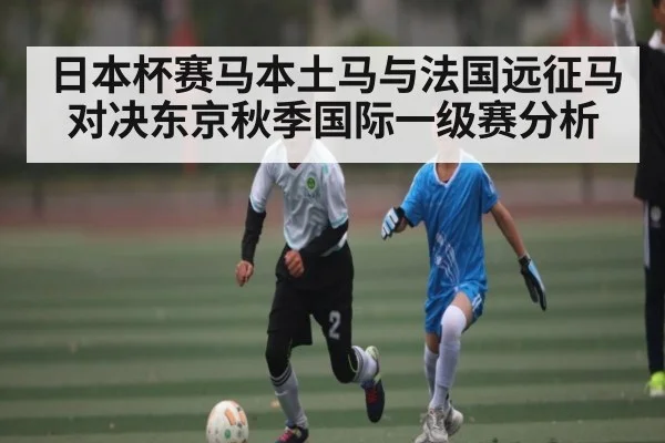 日本杯赛马本土马与法国远征马对决东京秋季国际一级赛分析